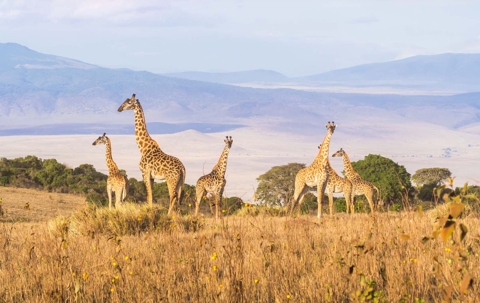 Day 6 — Ngorongoro Crater → Moshi