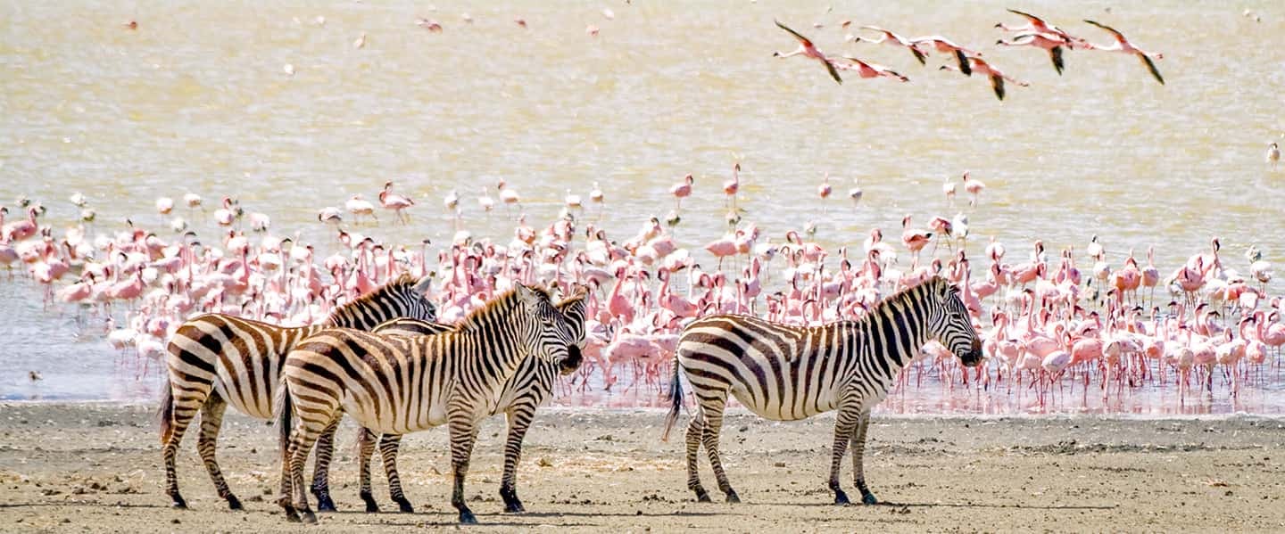 Ngorongoro Conservation Area