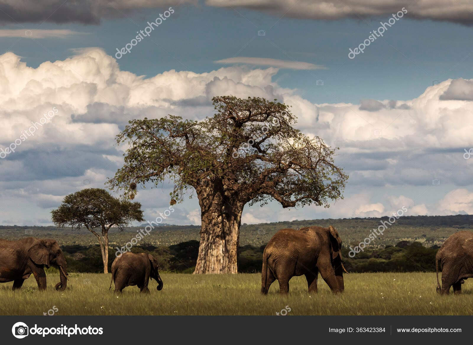 Crater & Elephants Escape — Tanzania safari